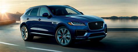 Jaguar Ocala .